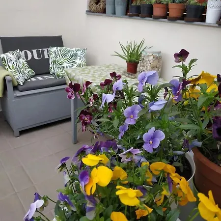 Belvarosi Levendula Apartman Gyula Exterior foto