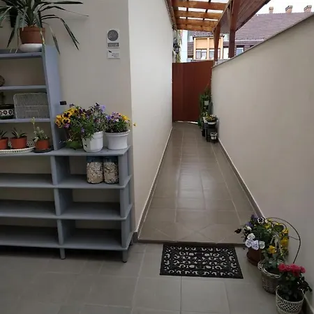 Belvarosi Levendula Apartman Gyula Exterior foto